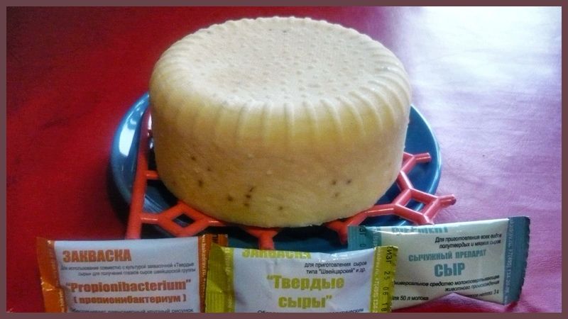 Миниатюра к статье Пошаговый рецепт сыра гауда